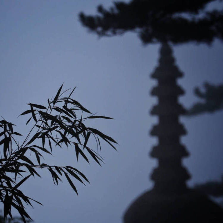 雪代缘（身份：雪代巴弟弟、上海黑帮老大、虎伏绝刀式使用者） - 院线新片抢先在线观看 - 网络看视频